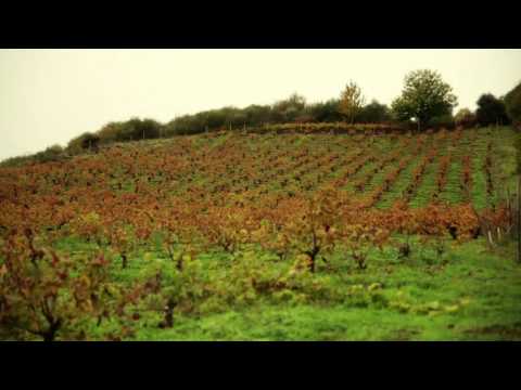 Descendientes de J. Palacios. Corullón 2013