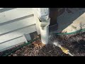 Ants Get Eliminated in Woodbridge, NJ