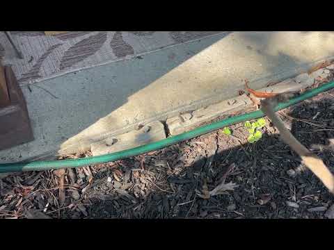 Ants Get Eliminated in Woodbridge, NJ