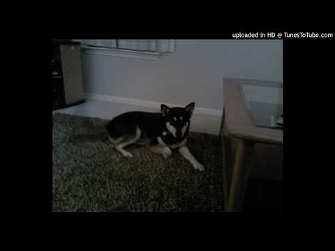 We Are The Underdogs