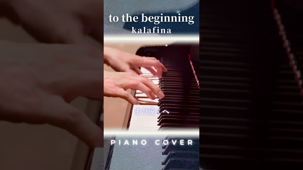 Piano Shorts
