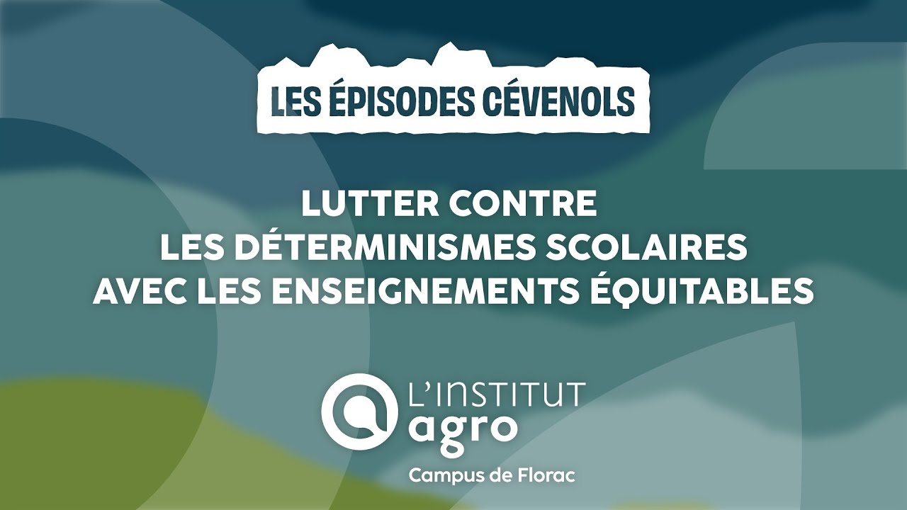 Lutter contre les déterminismes scolaires avec les enseignements équitables