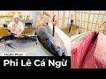 Phi Lê Cá Ngừ Hấp Dẫn Chef Hoshi Phan