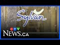 Owner Of Local Sylvan Learning Centres Speaks