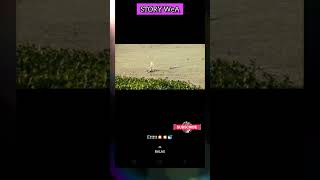 Download lagu Whatsapp Story || status galau seorang tukang mancing #shorts #storywa #mancing mp3