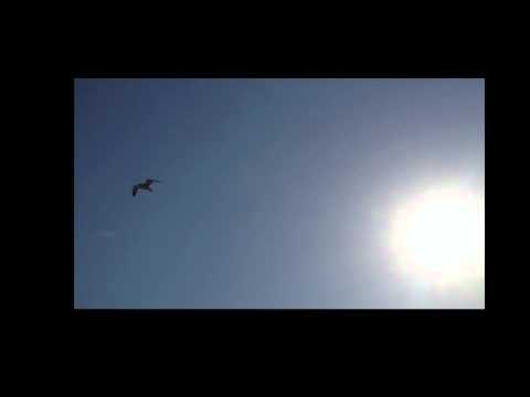 Improv. by Amos Elkana & Yaaki Levy | Homage to Richard Bach