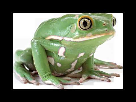 popmonst3r interview for buzzsaw digital 2022