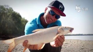 FEEDERMANIA – Alacsony víznél a Dunán