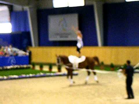 CHIO Aachen 2011 Christa Kristofics-Binder - Kür Samstag