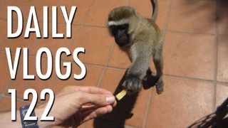 Cheeky Monkeys | Louis Cole Daily Vlogs 122