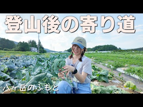 登山帰りに八ヶ岳の麓で絶景を楽しみながらトメ散歩。