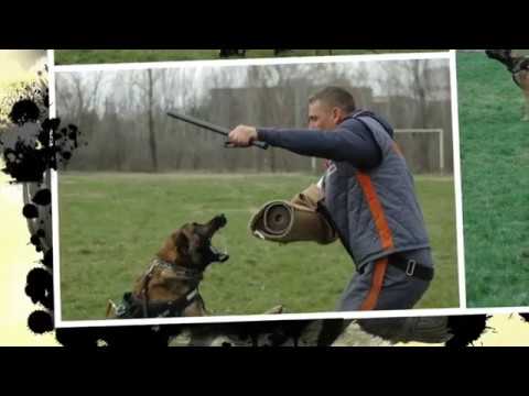 Cyrus & SK9 Team special guest Ciprian Cordos