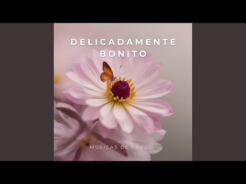 Delicadamente Bonito