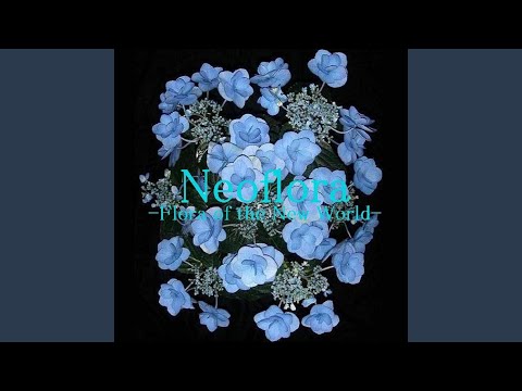 download lagu mp3 mp4 Neoflora, download lagu Neoflora gratis, unduh video klip Neoflora