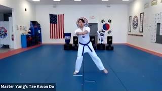 Live Class - Green Belt - 4.21.20 @ 5pm