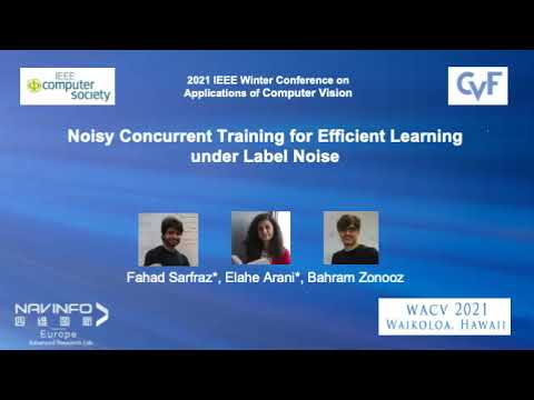 [WACV 2021] Noisy Concurrent Training for Efficient Learning under Label Noise