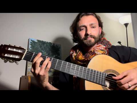 Promotional video thumbnail 3 for Guy Gottesfeld