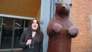 Music Manual Festevol Promo