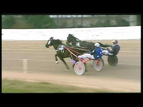 Trotto 23/02/2020 - 1ª corsa