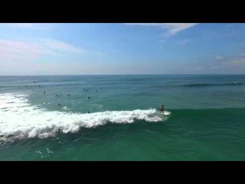 Dolphins and surfers enjoying waves at Pippi Beach