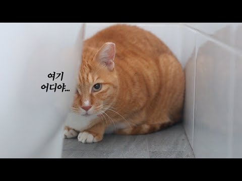 다시 시작된 단식투쟁