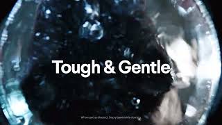 Clorox Free & Clear - Dog Bowl