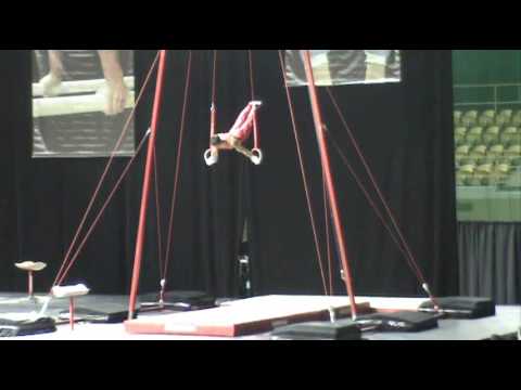 2009 Gymnix Robert Stanescu Rings
