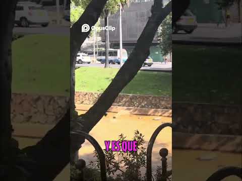 Exploro San Antonio y Santa Rosa ¡Cauca Increíble!😎 #shortsvideos #youtubeshorts #colombia #bogota