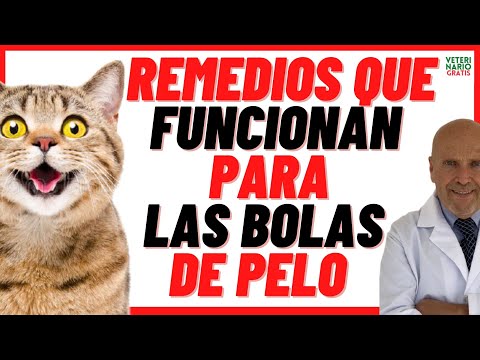 🟢 HOW TO ELIMINATE HAIRBALLS IN CATS 🟢 WITH HOME REMEDIES