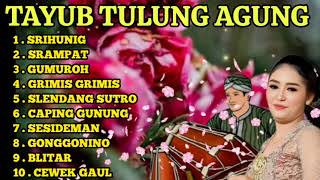 Download lagu GENDING JAWA TERLARIS TAYUB TULUNGAGUNG TERPOPULER SEPANJANG MASA #gendingjawa  GAYENG BANGET  mp3