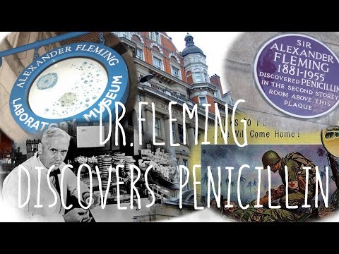 Dr  Alexander Fleming Discovers Penicillin