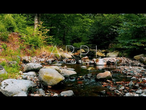 ARPI - Bingyol / Բինգյոլ (audio)