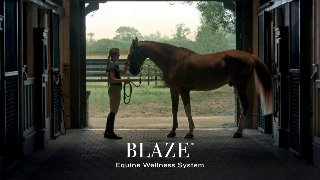 Blaze Equine wellness system
