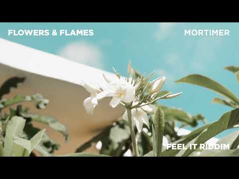 Mortimer - Flowers & Flames (Official Audio)