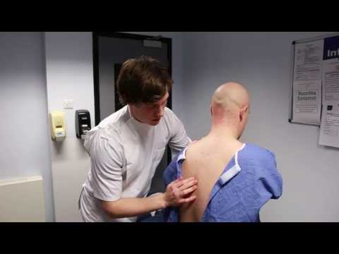 Spine Examination - Chiropractic