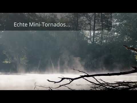 Nebelsäulen über dem See