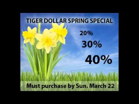 Mar 18th Tom O'Brien Show on TFNN - 2015