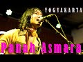 KOES PLUS PANAH ASMARA COVER BY T KOES Live R3Cafe Yogyakarta