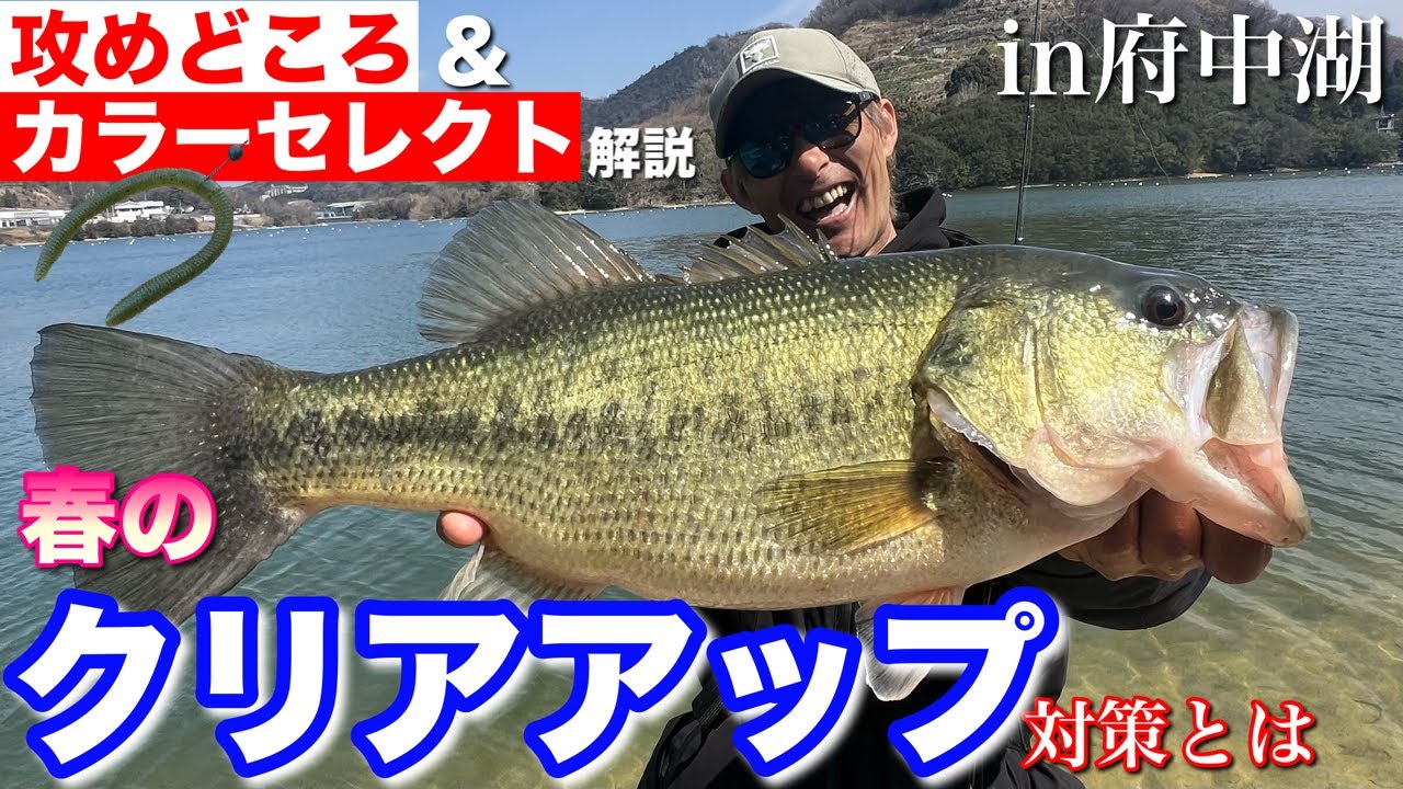 春のクリアアップの攻め方とカラーセレクト。【水の旅＃ ２９５】