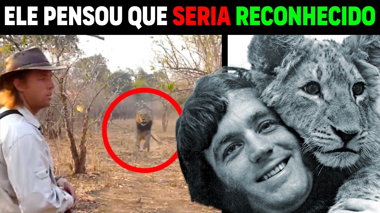 Man meets pet LION after years...