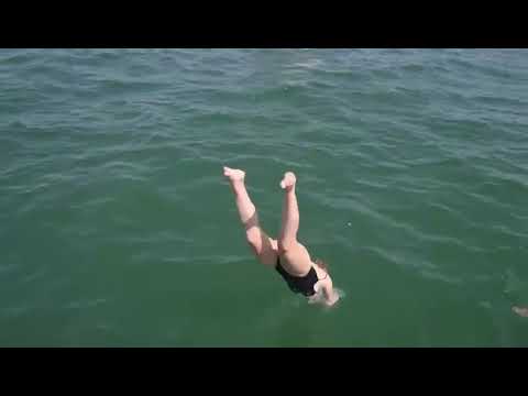 Vitha Group Carriera - Vitha Group