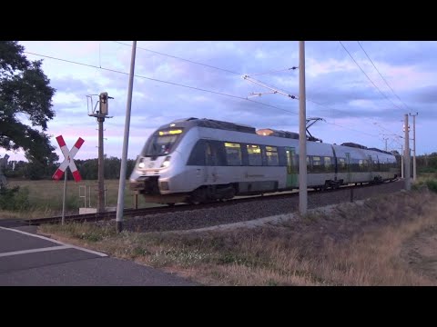 Züge in Falkenberg (Elster) – Die Eisenbahnstadt