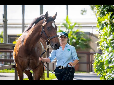 2022 Magic Millions GC National Broodmare Sale - Lot 1145 Key