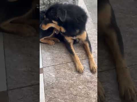 #❤️❤️❤️❤️❤️