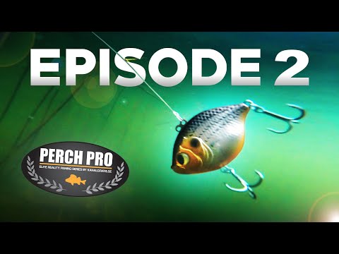 PERCH PRO 7 - Episode 2 (Deutsche Untertitel)