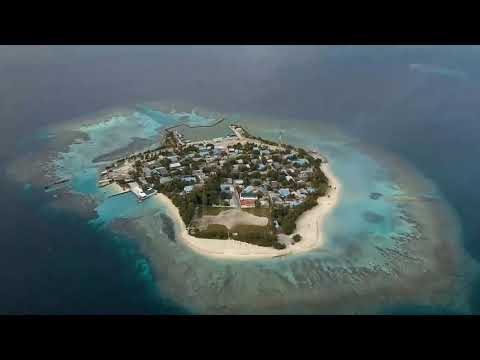 SKICE x Calmani & Grey - Don't Wanna Wake Up