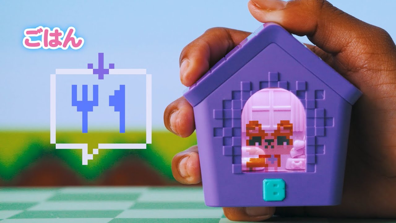 【お世話編】わんだーはうす 遊び方動画