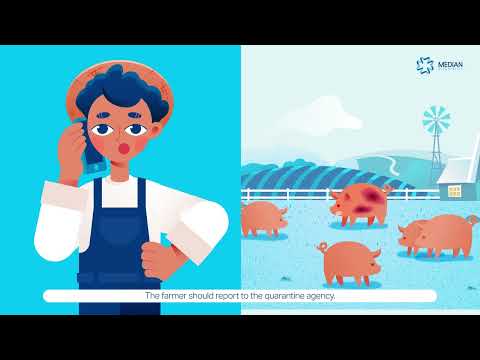 [MEDIAN Diagnostics] African Swine Fever (ASF) Total Diagnostic System