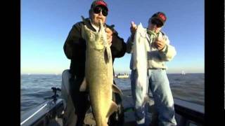 Воблер rapala tail dancer td05-b
