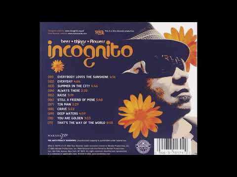 Videoclip de You Are Golden — Incognito